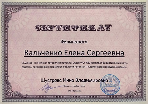 Сертификат Кальченко Елены Сергеевны